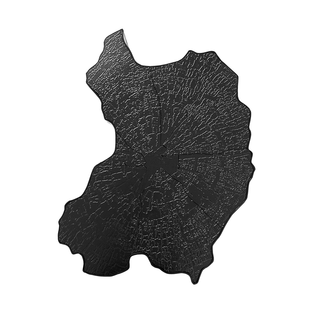 Tree Trunk Center Table